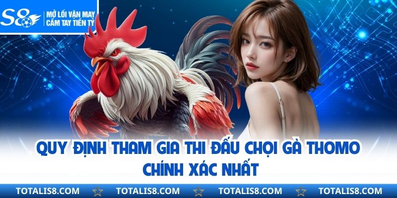 Quy định tham gia thi đấu chọi gà thomo chính xác nhất